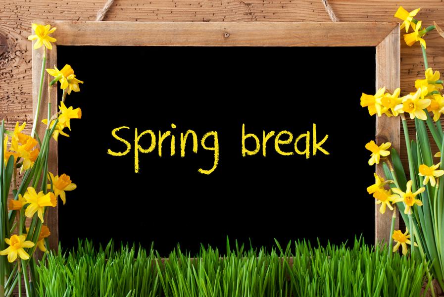 Daffodils framing a wood-framed blackboard with the words, Spring Break written in yellow chalk.